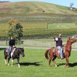 Private vineyard tours 2025