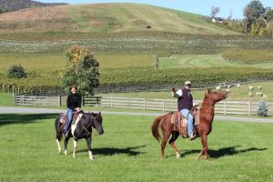 Private vineyard tours 2025