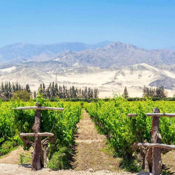 Private vineyard tours 2025