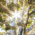 Mystical spiritual travel experiences