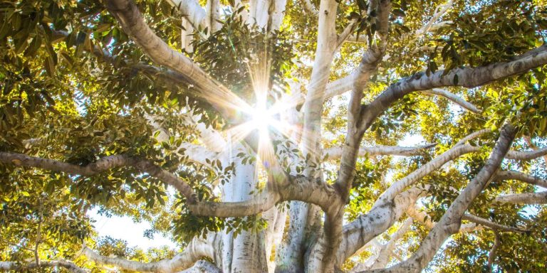 Mystical spiritual travel experiences