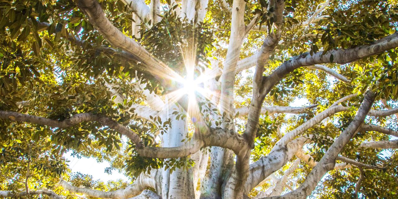 Mystical spiritual travel experiences