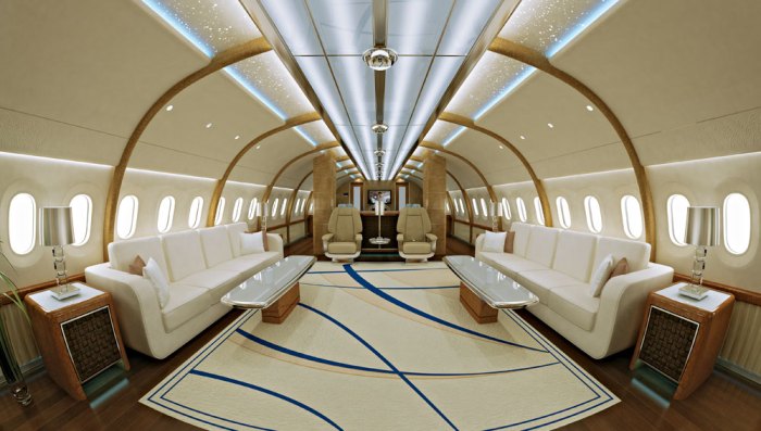 VIP private jet services