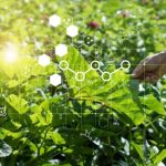 Best agricultural tourism destinations 2025